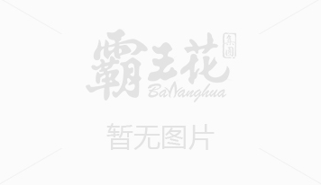 副省長佟星調研我市中小企業發展情況時強調——像抓重大項目一樣扶持中小企業