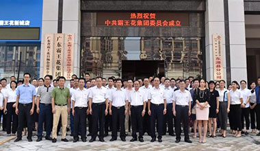 廣東霸王花集團(tuán)黨委正式成立，“紅色引擎”引領(lǐng)企業(yè)行穩(wěn)致遠(yuǎn)